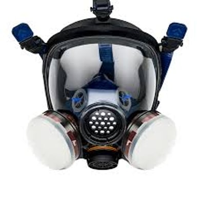 A protective gas mask with a face seal and attached filter cartridges.