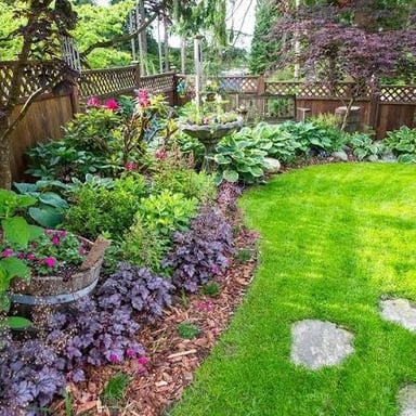 Common plants growing in an ordinary garden