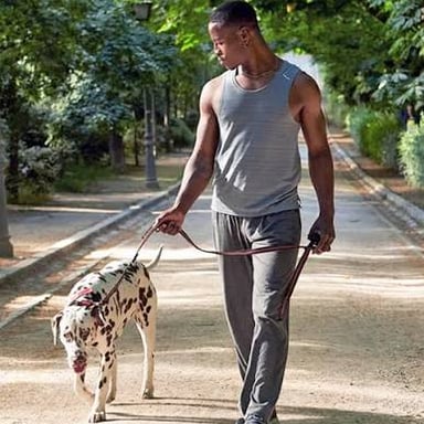 A person taking a dog for a walk on a leash.