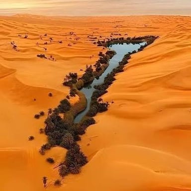 A green, water-supplied oasis surrounded by arid desert.