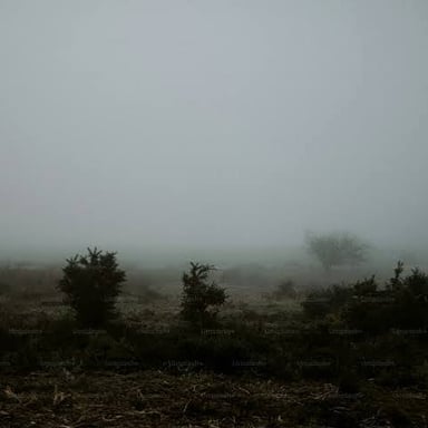 A landscape obscured by a light haze.