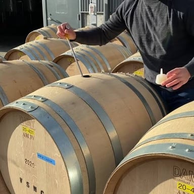 Fine yeast sediment, or lees, settled at the bottom of a wine vessel.