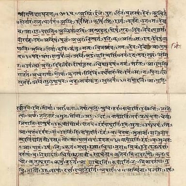 A manuscript page bearing Sanskrit text from the Vedic tradition.