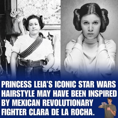 Princess Leia from Star Wars, recognized by her hair arranged in two buns.
