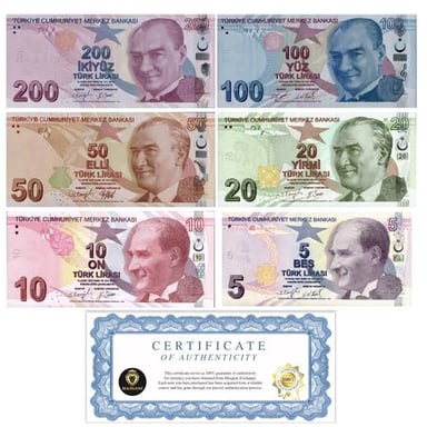 Turkish lira banknotes and coins