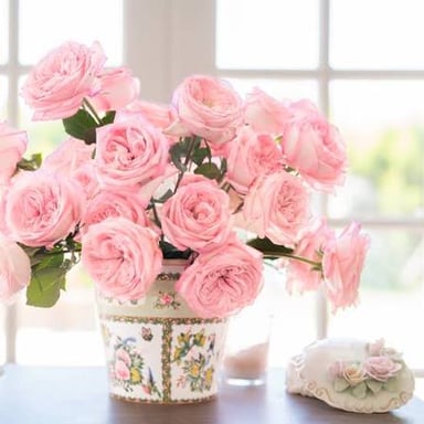 A tea rose with a pointed, layered bloom.