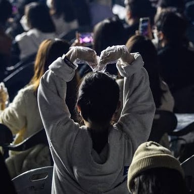 Fans admiring celebrated performers, or “stars,” as idols.