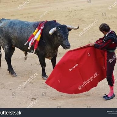 A bullfighter holding a cape in a bullring.