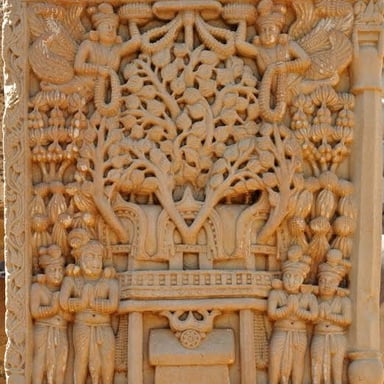 A large Bodhi tree associated with Buddhist enlightenment