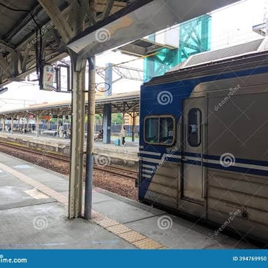 A commuter train stopped at a station, illustrating a local service.