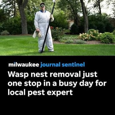 A person clearing unwanted pests from a house