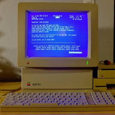 A vintage computer display showing a text-based Usenet newsgroup interface.