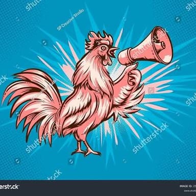 A rooster with its beak open as it crows.