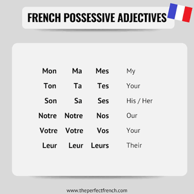 An educational chart showing French possessive adjectives.