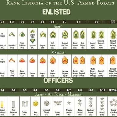 A simple chart showing military ranks in hierarchical order.