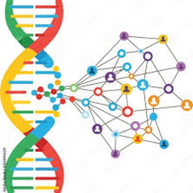 A DNA double helix, the molecule analyzed in genetic genealogy.
