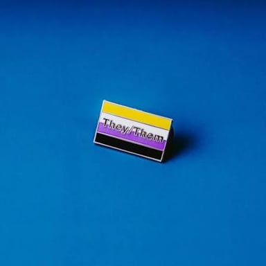 A nonbinary pride flag displayed beside the words they/them.