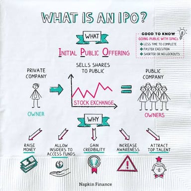 A company offering shares to public investors in an initial public offering.