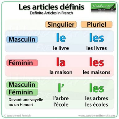 An educational comparison of English and French definite articles.