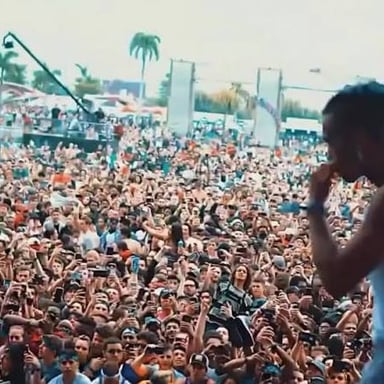 A concert crowd facing a stage, suggesting the loud noise of a live show.