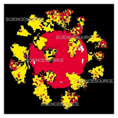 An illustration of a coronavirus particle