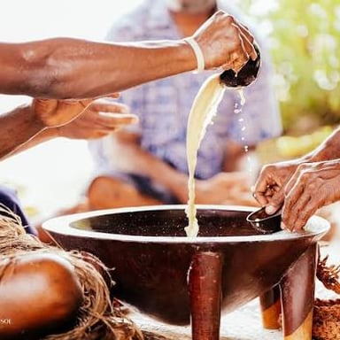 A bowl of kava, a traditional Pacific drink prepared from the kava plant's root.