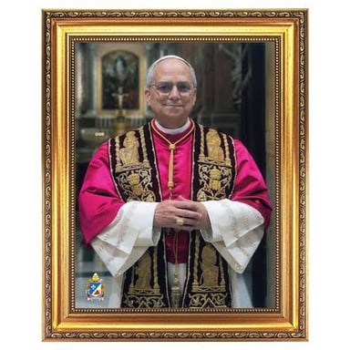 A portrait of Pope Leo XIV.