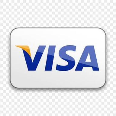 A payment card bearing the Visa logo.