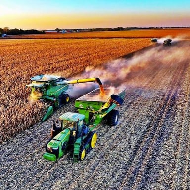 A farmer gathering crops from a field at harvest.
