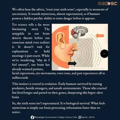 An illustration suggesting intuition beyond the five ordinary senses.