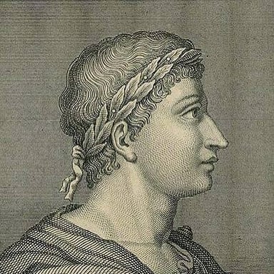 A classical bust representing Ovid, the Roman poet who wrote Ibis and Metamorphoses.