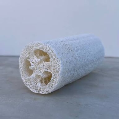 A natural loofah sponge used for bathing.