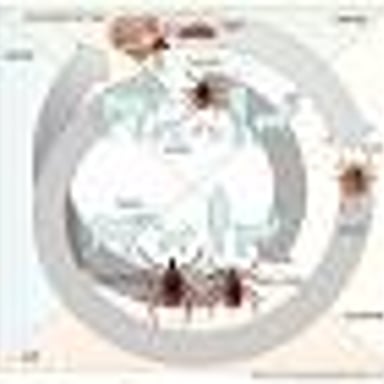A tick attached to an animal, illustrating a parasite drawing resources from its host.