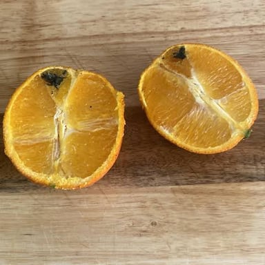 Curled orange peel rests beside a peeled orange.