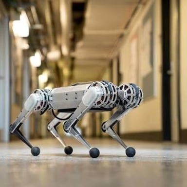 A four-legged animal standing on all four feet.