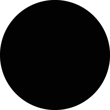 A solid black circle on a plain white background.