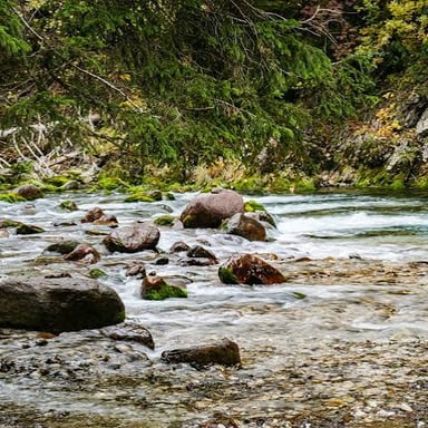 A clear stream moving smoothly over rocks