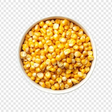 Yellow maize kernels showing the familiar colour associated with corn.