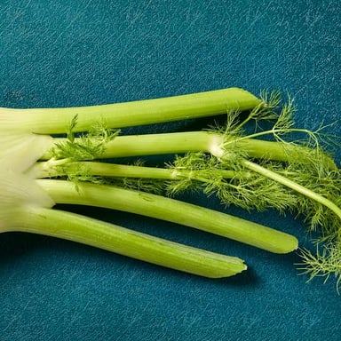 A fresh fennel bulb with pale stalks and feathery green fronds.
