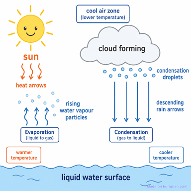 A simple illustration of water vapor cooling and forming liquid droplets.