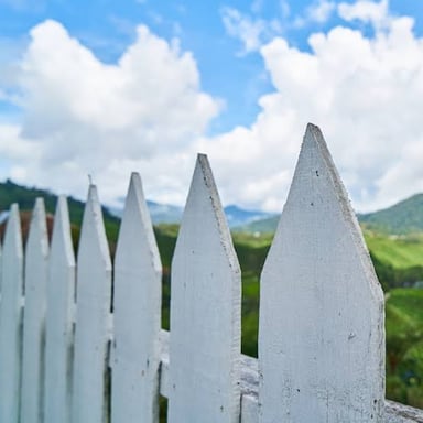 A row of narrow pickets forming a white fence