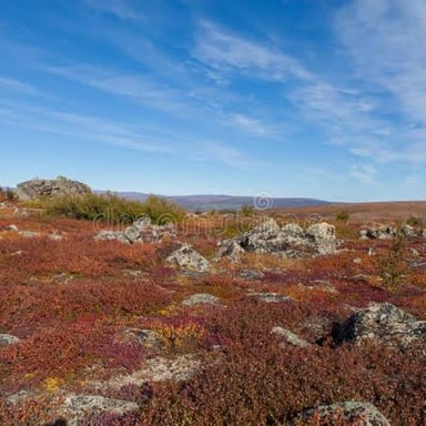 A cold, barren landscape in a polar region.