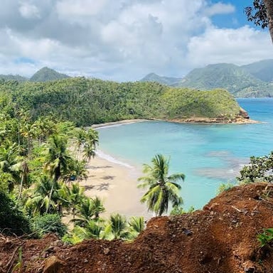 A lush coastal landscape on the Caribbean island of Dominica