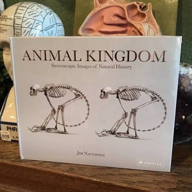 A display of natural history objects that could prompt short interesting facts.