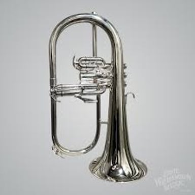 A flugelhorn, a brass instrument with a wide bell and three valves.