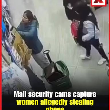 A retail security scene associated with shoplifting.
