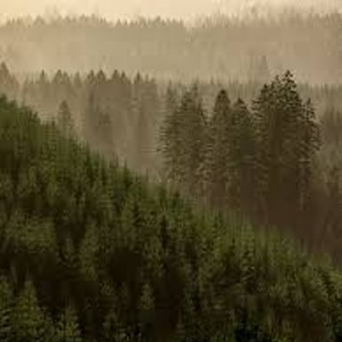 Fog and haze obscure the distant landscape.