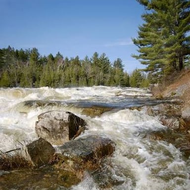 A river swollen by rapid spring snowmelt.