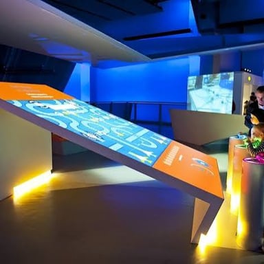 Visitors looking at a colorful, engaging museum exhibit.