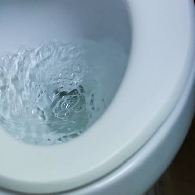 Water swirling in a toilet bowl during a flush.